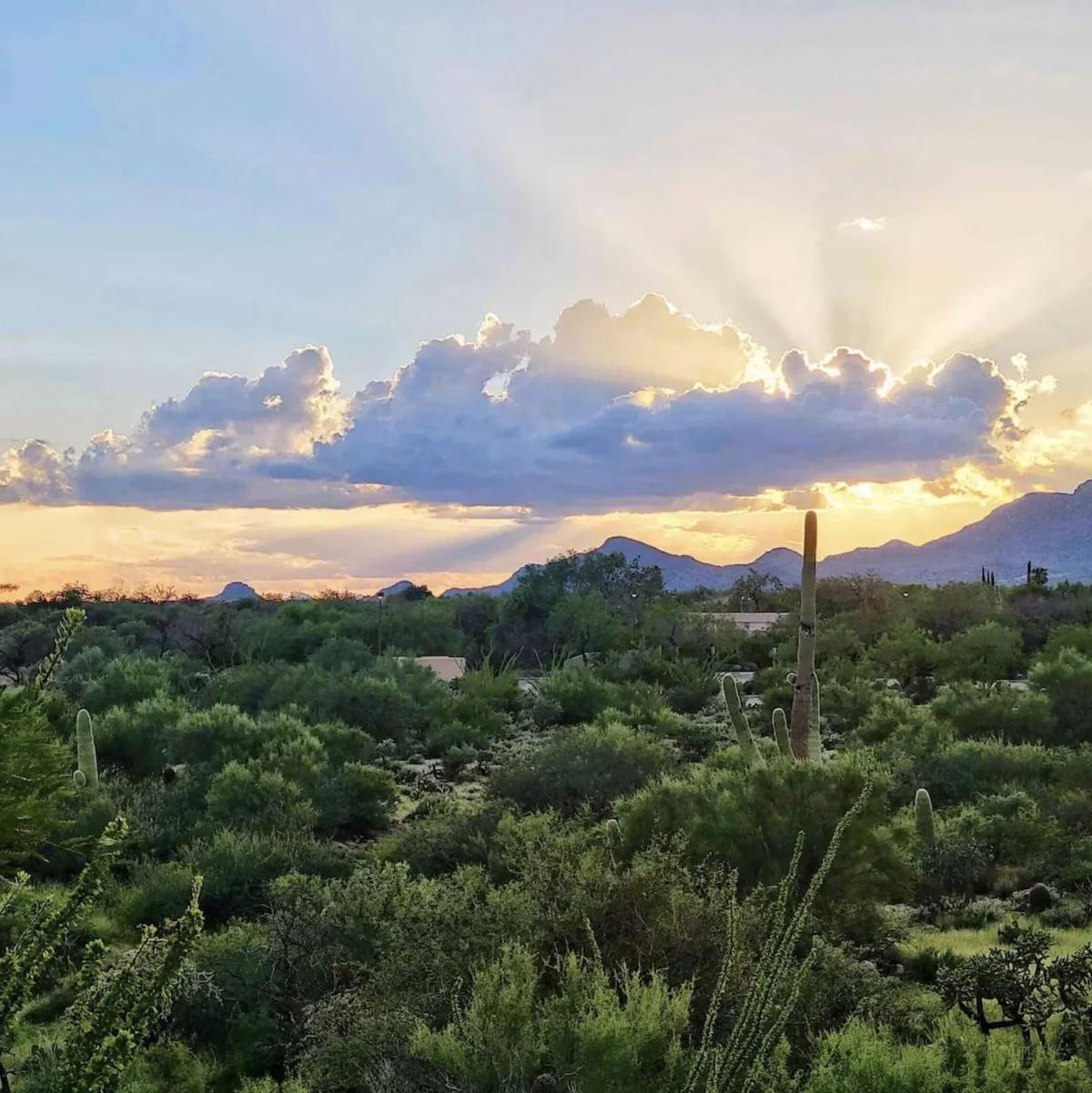 Luxury 3Bd 2Ba Home Near Tucson With Desert Views - Low Summer Rates! Оро Вэлли Экстерьер фото