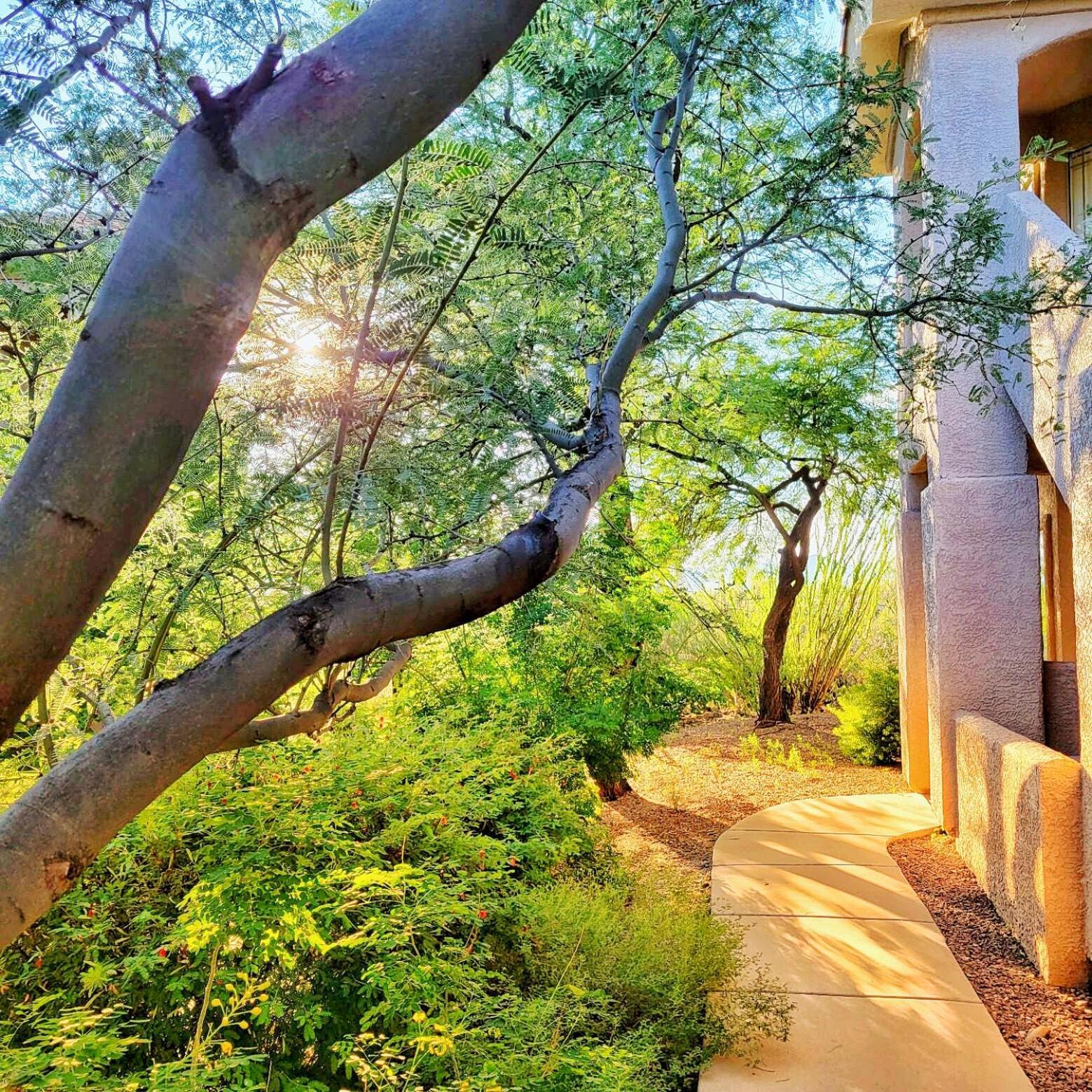 Luxury 3Bd 2Ba Home Near Tucson With Desert Views - Low Summer Rates! Оро Вэлли Экстерьер фото